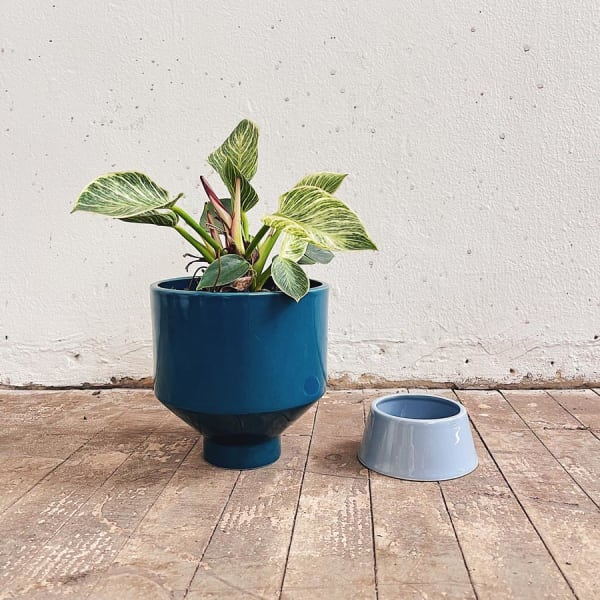 Matera Noyau II - Imagen 3